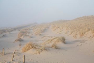 Duinen bij zonsondergang van Desirée de Beer