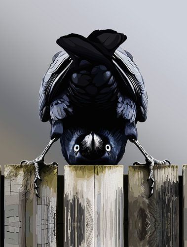 Grappige Kraai Muurkunst - Omgekeerde Vogel Illustratie op Hek Modern Print
