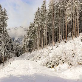 Promenade d'hiver dans la neige sur Marjolein Albregtse