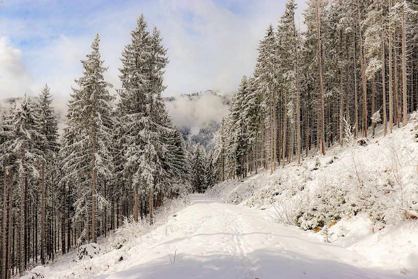Promenade d'hiver dans la neige par Marjolein Albregtse