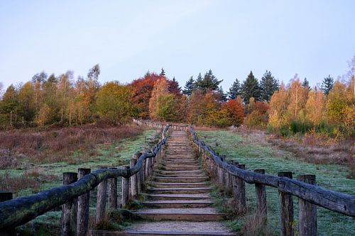 Quintelooijen part 16