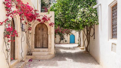 Straatje in Tunesië