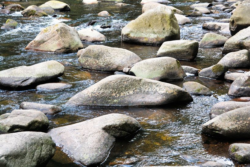 The river Bode near Thale in the Harz Mountains by Heiko Kueverling
