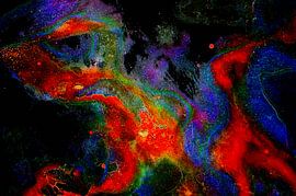 Phoenix Nebula by De Rover