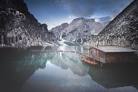 Die Pragserinnen von Dennis Donders