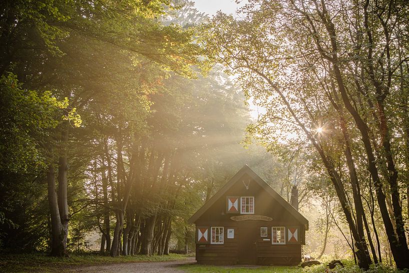 Mistige zonsopkomst bij het boshuisje! van Peter Haastrecht, van