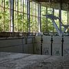Zwembad Tsjernobyl van Erwin Zwaan