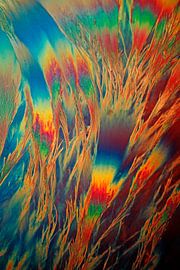 Testosteron propinate by André Wieringa