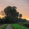 Morning light 1 by Maurice Looyestein