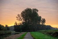 Ochtend licht 1