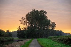 Ochtend licht 1 van Maurice Looyestein