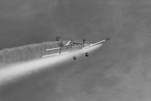 PZL-106 Kruk en service en noir et blanc