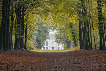 Huis Nijenburg te Heiloo, gezien vanuit het Heilooërbos van Bram Lubbers