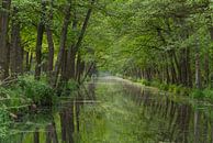 Het defensie kanaal van Hetwie van der Putten thumbnail