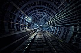 projekt omega von Dieter Herreman