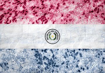 Paraguayan flag by Grüntyers .