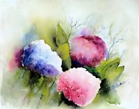 Hortensia's