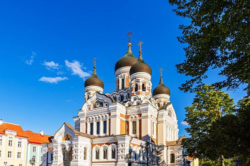 Uitzicht op de Alexander Nevski Kathedraal in Tallinn, Estland
