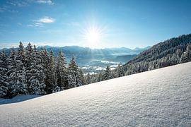 untouched wintry atmosphere in the Allgäu region