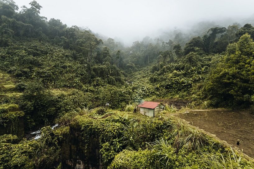 The green lush Vietnamese interior by Yvonne de Bondt