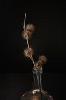 Distel in vaasje