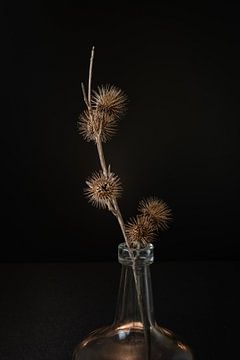 Distel in vaasje van Jefra Creations