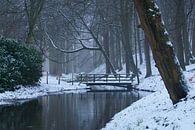 Winter im Wald, Schnee an der Brücke von Discover Dutch Nature Miniaturansicht