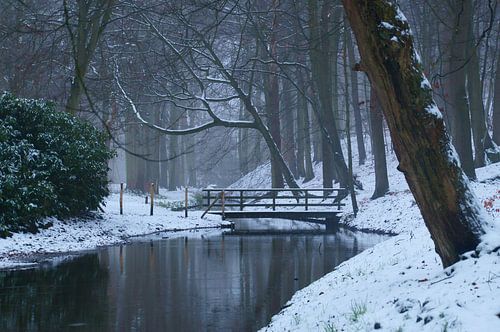 Winter in het bos, sneeuw bij de brug