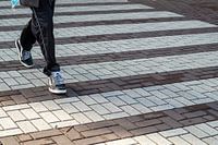 Walking on the zebra