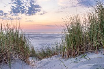 Sonnenuntergang Terschelling von Hilda Weges