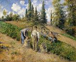 The Harvest, Pontoise (1881) by Camille Pissarro. van Studio POPPY thumbnail