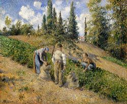 The Harvest, Pontoise (1881) by Camille Pissarro.