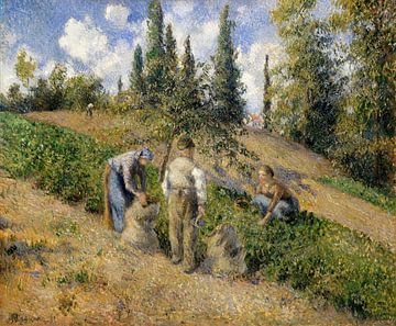 The Harvest, Pontoise (1881) by Camille Pissarro. van Studio POPPY