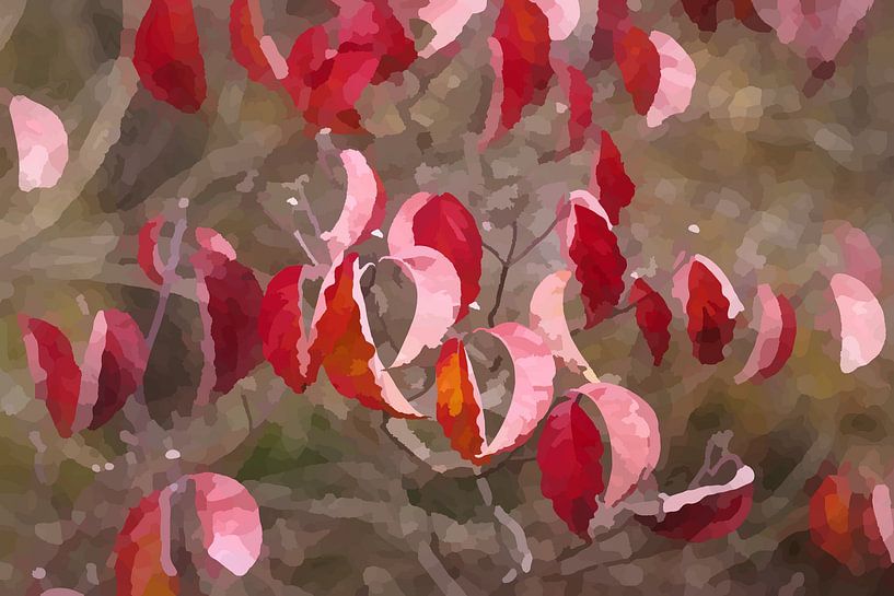 rote Blätter des Blumenhartriegels, grafisch von Steffi Hommel