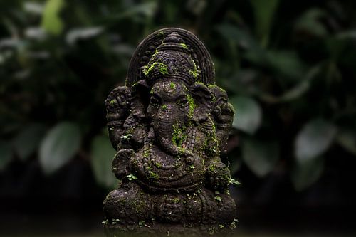 Begroeid stenen Ganesha beeld in Ubud