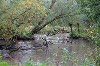 Mystieke Biesbosch 