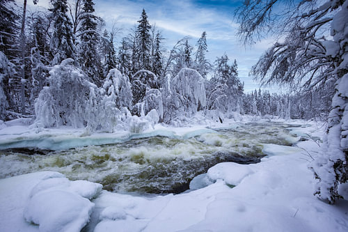Winterlandschap Lapland