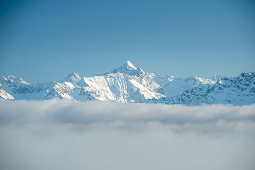 Hoge vogel in winterjurk
