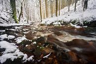 Sneeuw in de Ardennen van Rick Kloekke thumbnail