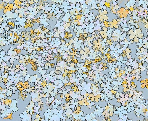 Pétales sur Piet de Winter