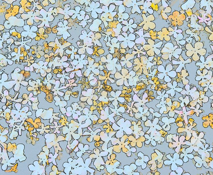Petals by Piet de Winter
