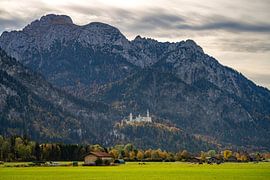 Schloss Neuschwanstein von Peter Schickert