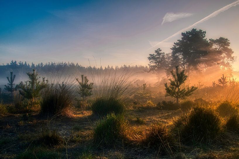 Enjoy Silence by Sander Rozemuller