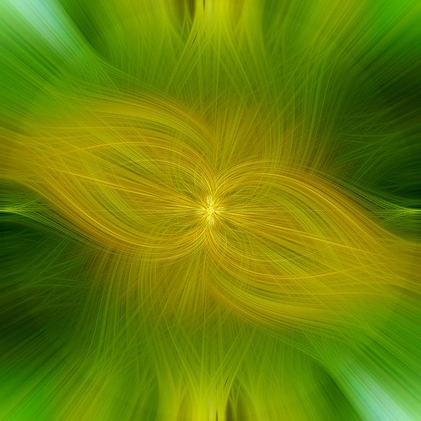 Blume des Lichts. Abstraktes geometrisches Feuerwerk. Gelb und Grün. von Dina Dankers