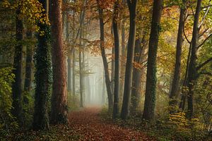 L'autre monde sur Martin Podt