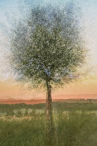 Baum 'Ventosa-Stil von Tania Perneel