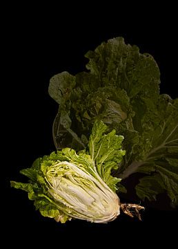 Chinese cabbage by Fotogallery