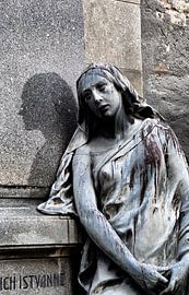 ...ein Land der Lebenden und ein Land der Toten VII van Ilona Picha-Höberth