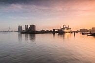 Sunrise at the SS Rotterdam by Ilya Korzelius thumbnail