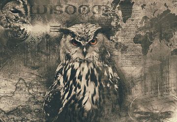The wisdom of an Owl by Bert Hooijer